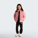 tnf_asset:NF0A88VJNO9-ALT2