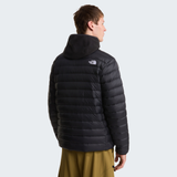 tnf_asset:NF0A8D1UJK3-ALT3