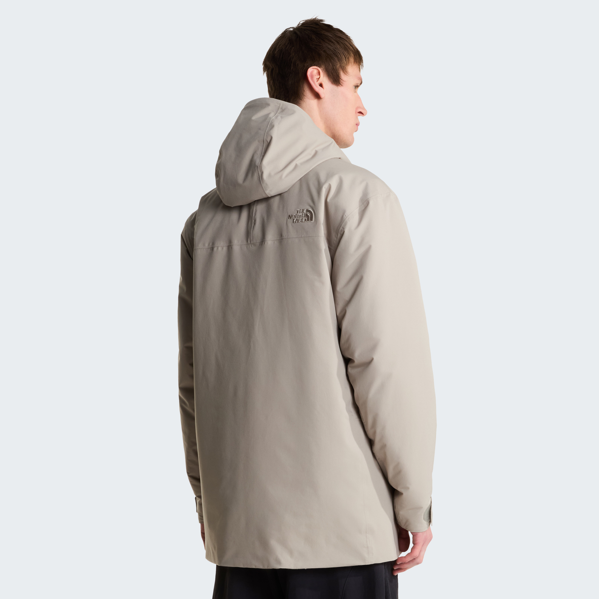 tnf_asset:NF0A8J8Q2MB-ALT3