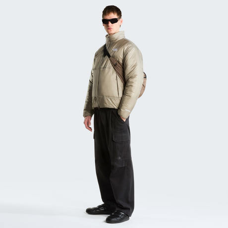 tnf_asset:NF0A8H0P2MB-ALT1
