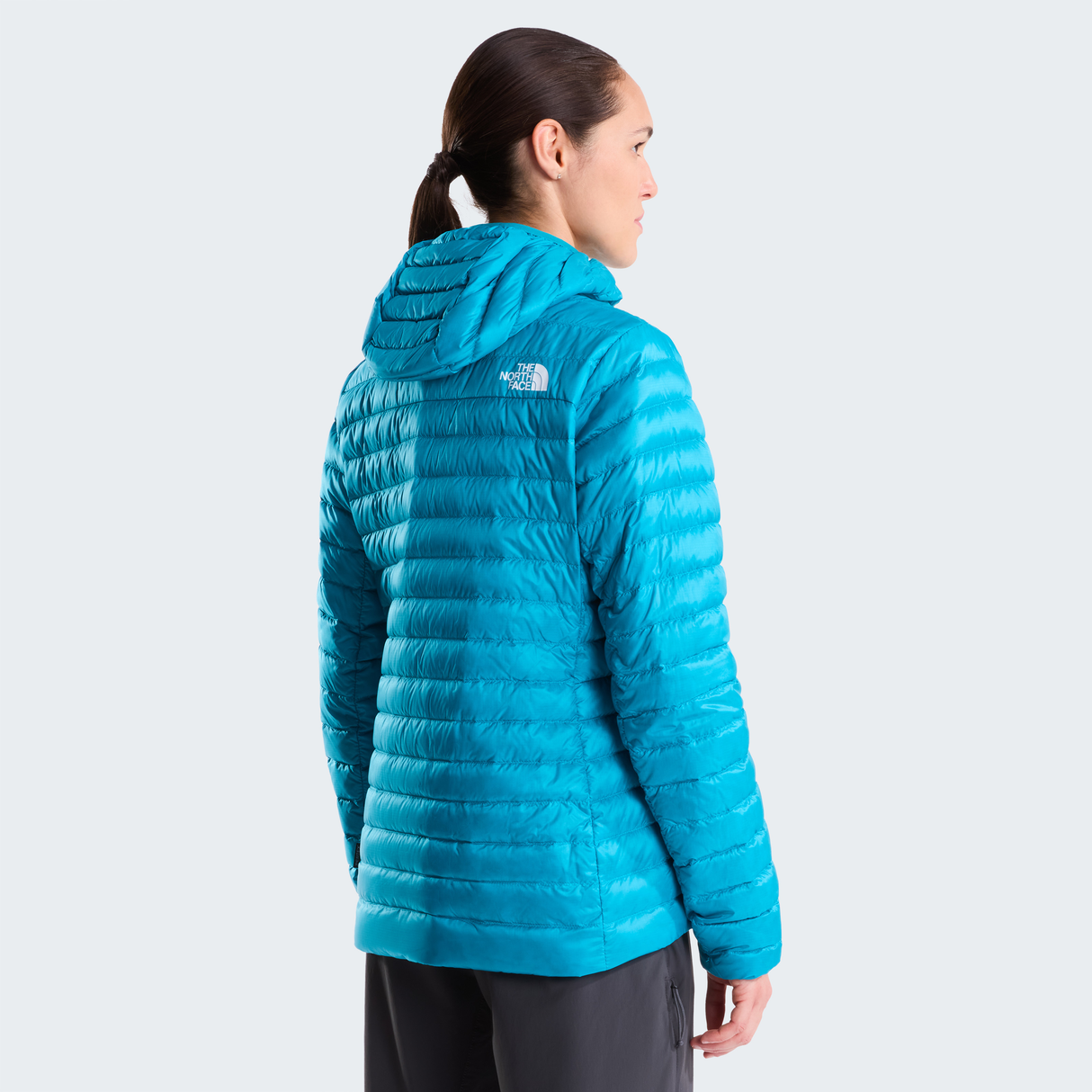 tnf_asset:NF0A8G7V6GO-ALT3