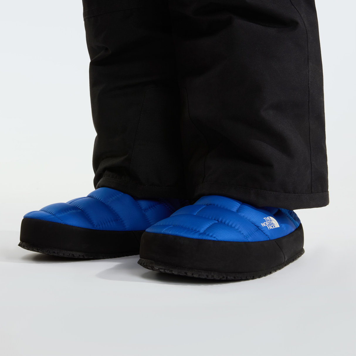 tnf_asset:NF0A39UXQS0-ALT2