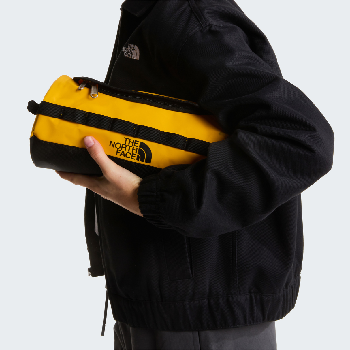 tnf_asset:NF0A52TF4WP-ALT1