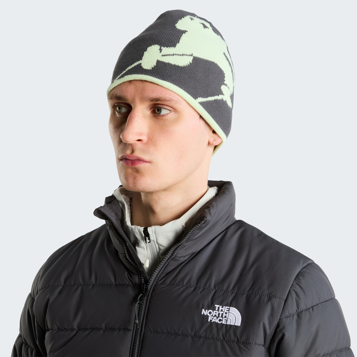 tnf_asset:NF0A7WLAWP7-ALT3