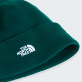 tnf_asset:NF0A5FW11KI-ALT2