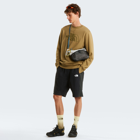 tnf_asset:NF0A8C1CMO9-ALT1