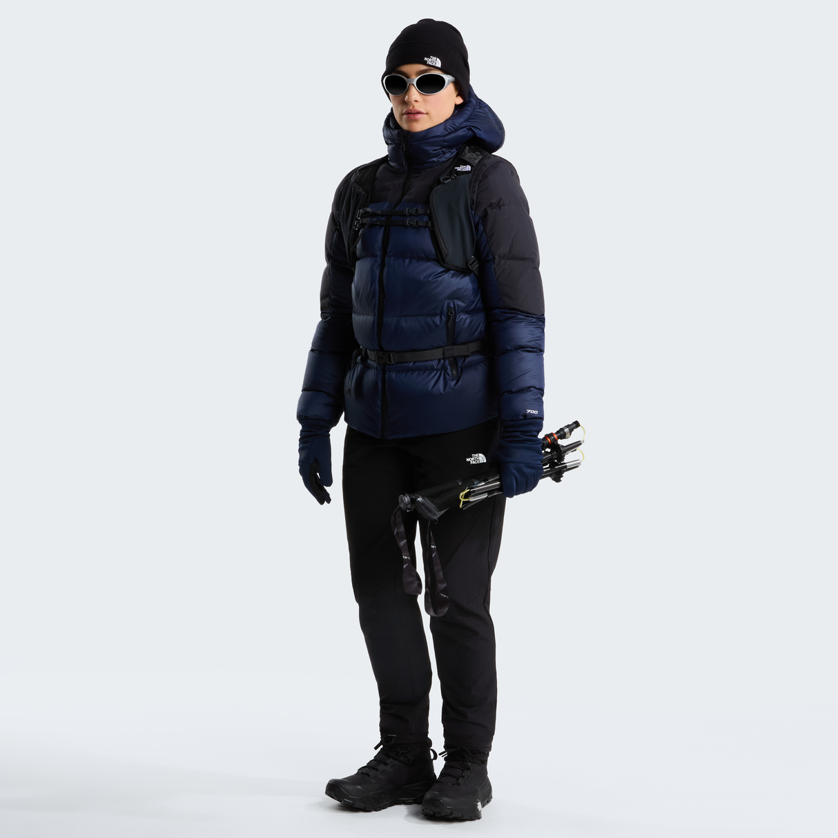tnf_asset:NF0A8E13A1C-ALT1