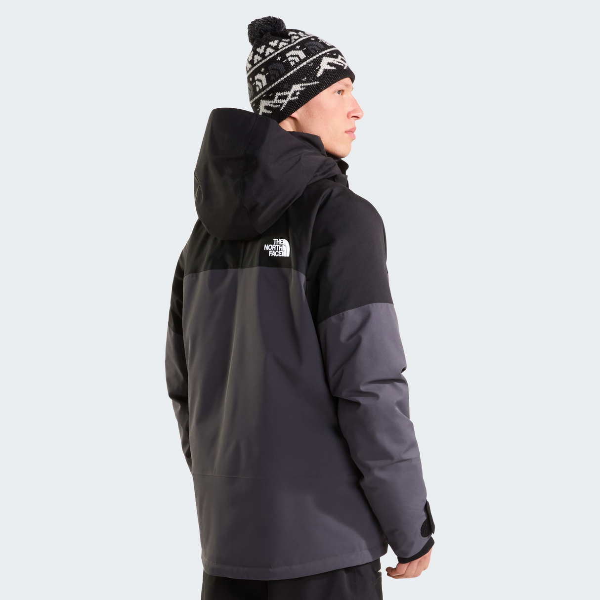 tnf_asset:NF0A8H24WUO-ALT3