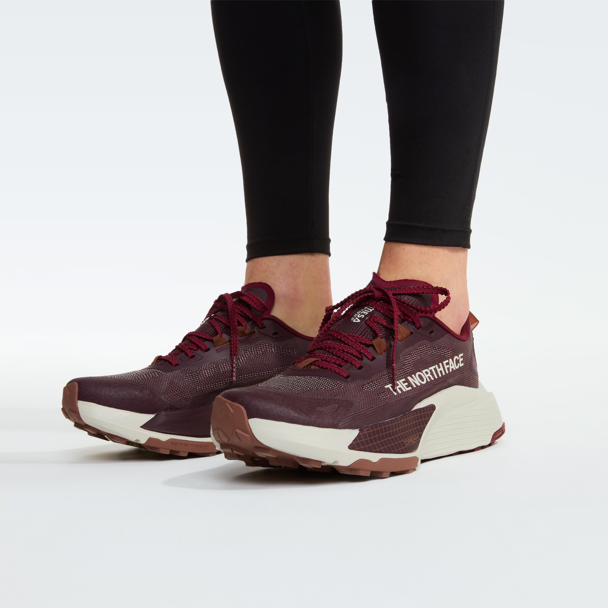 tnf_asset:NF0A8DB30TJ-ALT2