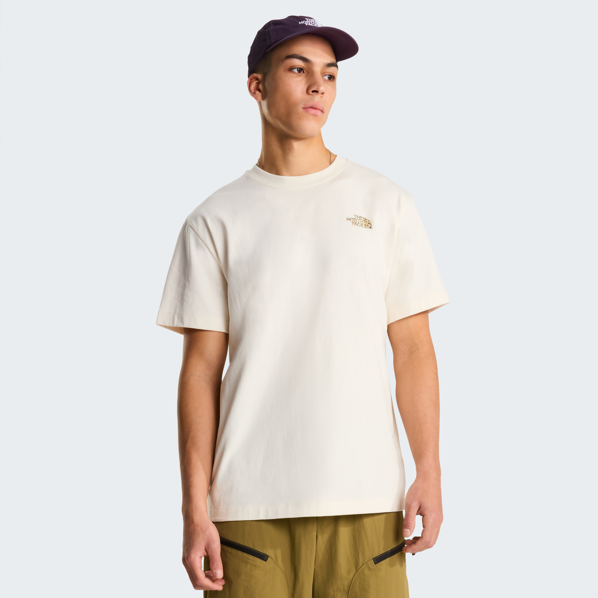 tnf_asset:NF0A8GB4QLI-ALT3