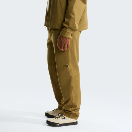tnf_asset:NF0A8B622EL-ALT2