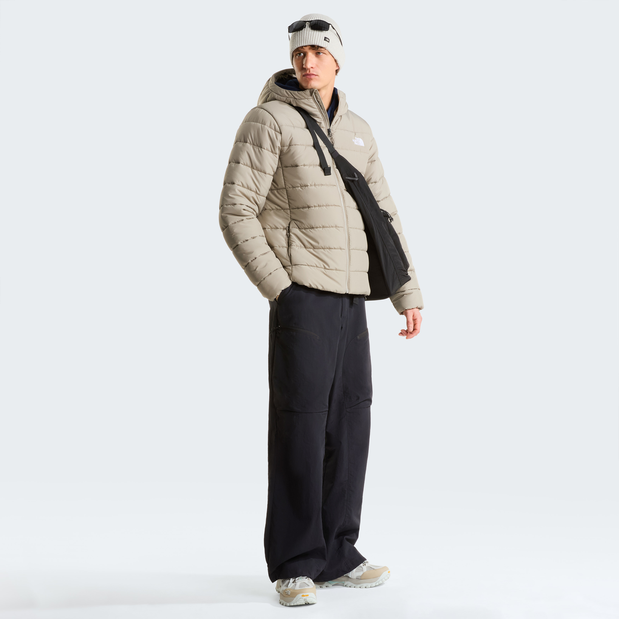 tnf_asset:NF0A8H0K2MB-ALT1