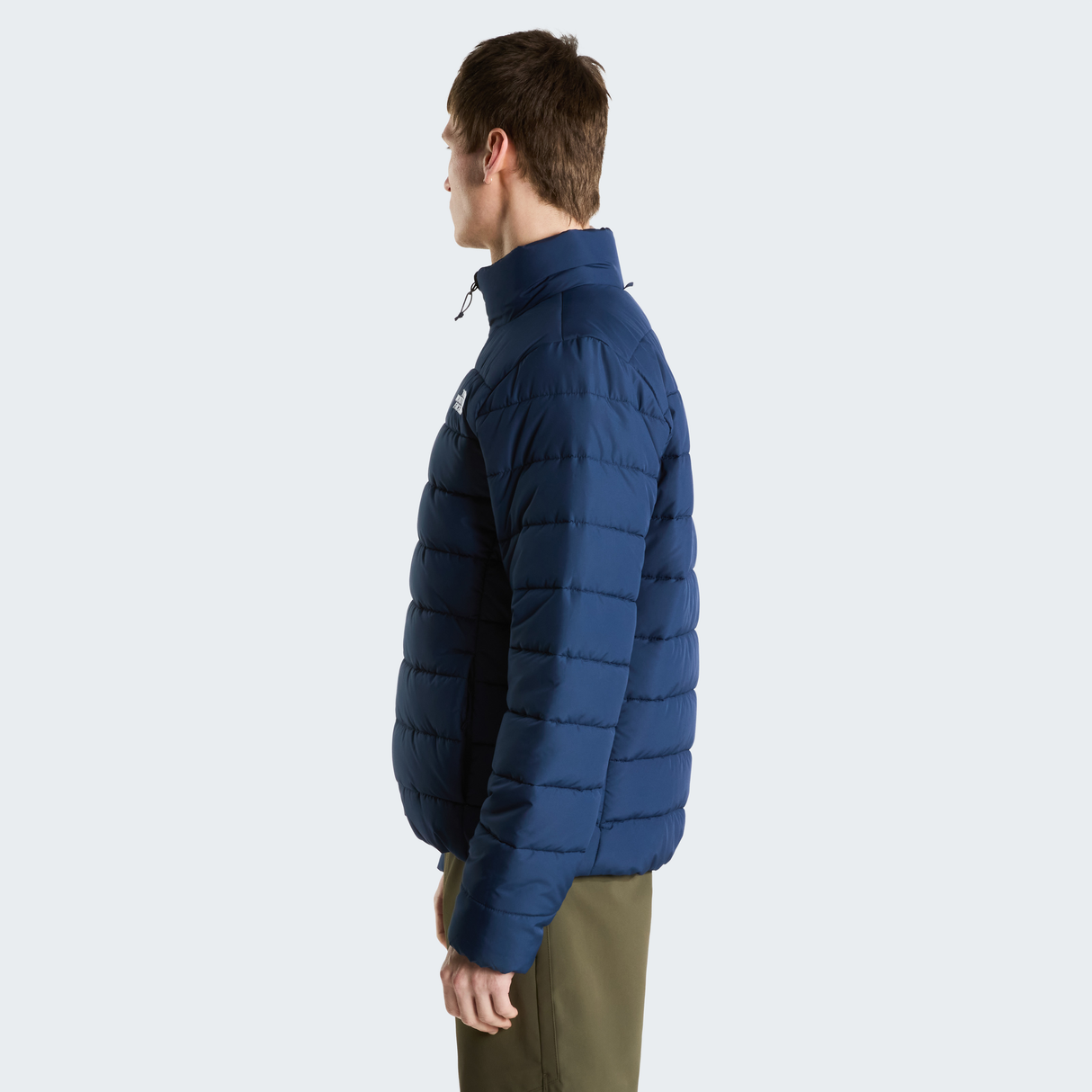 tnf_asset:NF0A8H0M8K2-ALT2