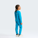 tnf_asset:NF0A8CV0D7R-ALT2