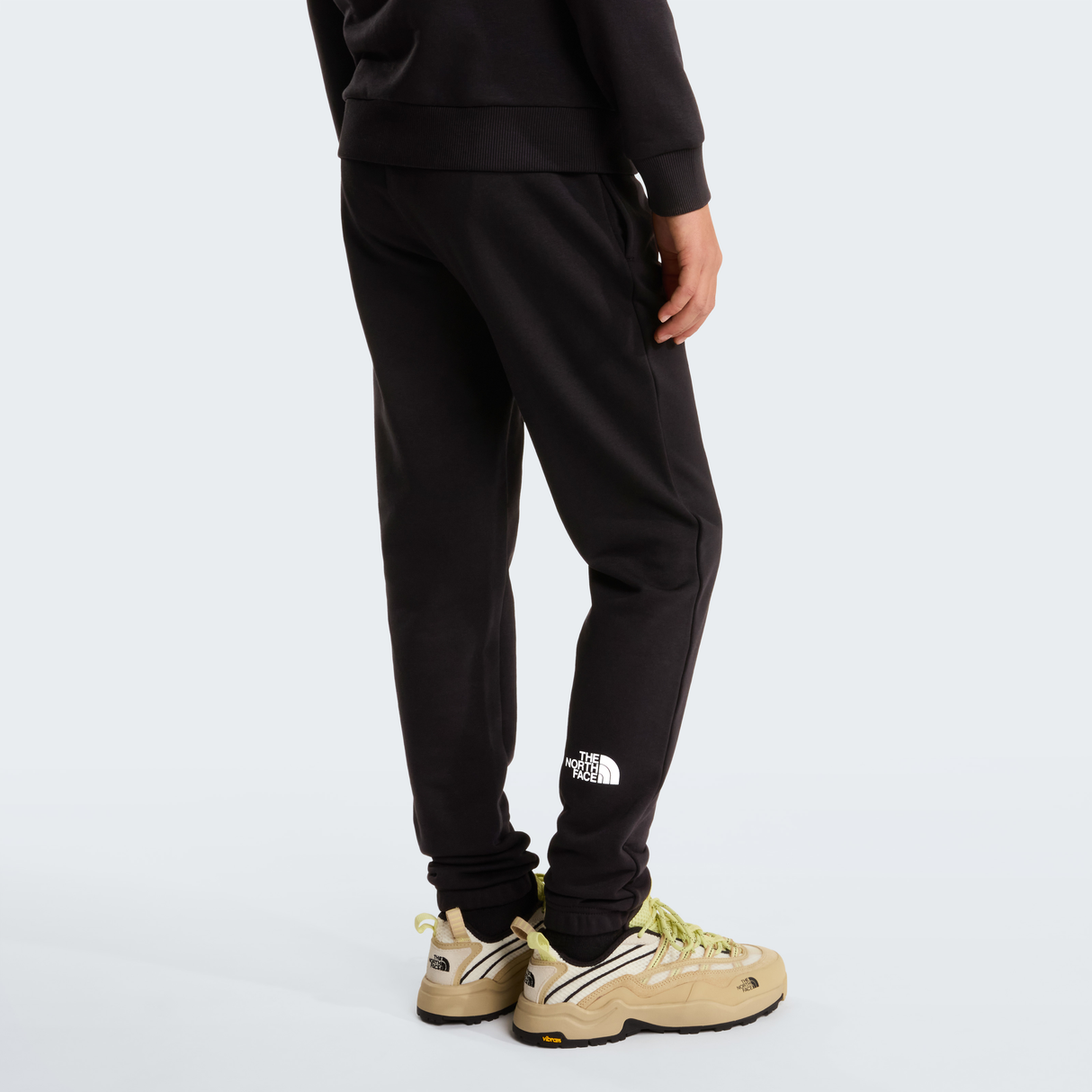 tnf_asset:NF0A8GR6JK3-ALT3