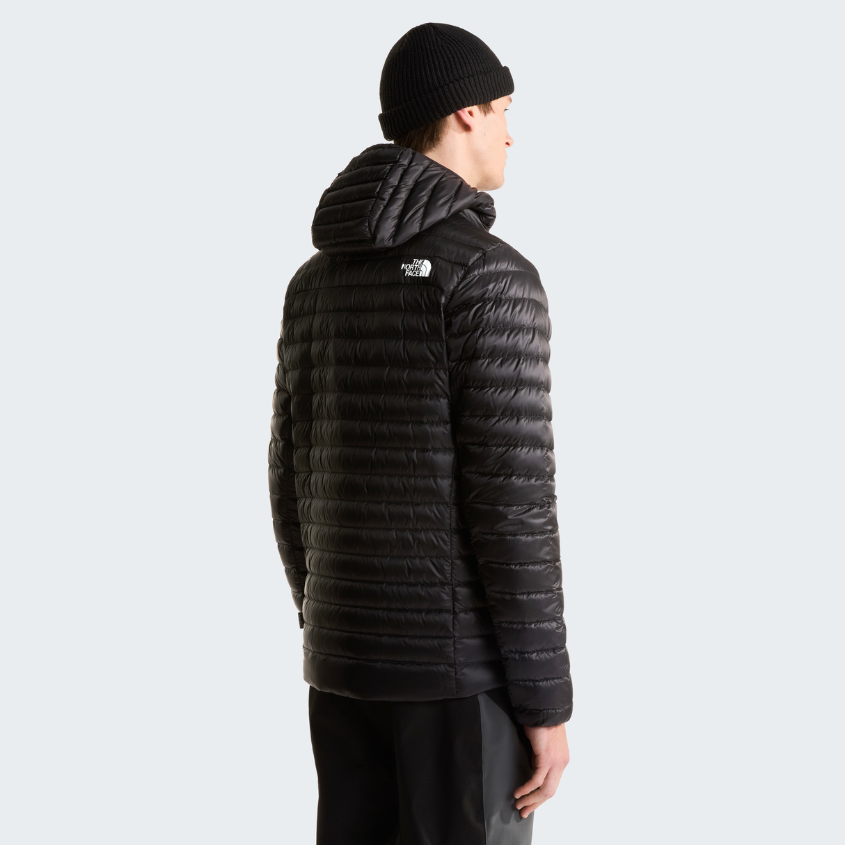 tnf_asset:NF0A8G7SWOO-ALT3