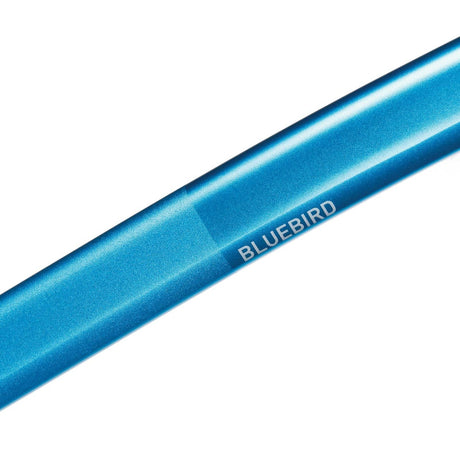 BLUE ICE - Bluebird