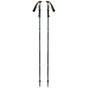 BLACK DIAMOND Trail Vista FLZ Bastoncini Trekking 