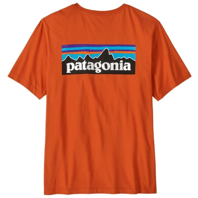 PATAGONIA M's P-6 Logo T-Shirt uomo 