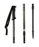 1555|NBLP