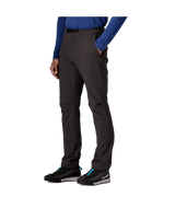 PATAGONIA - M's Terravia Peak Pants - Reg