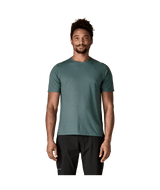 24498|BLSG|2