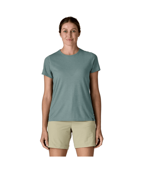 24503|BLSG|2