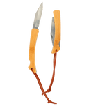 2984|ACIP