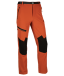 3031|BRIP