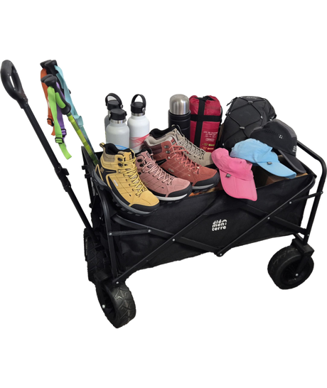 ELEMENTERRE - FARGO Trolley 120 L