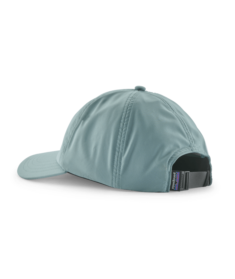 33317|BLSG|2