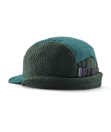 33495|CASG|2