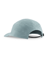 33590|BLSG|2