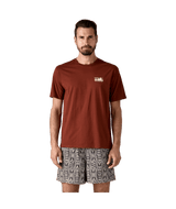 37534|DVL|2