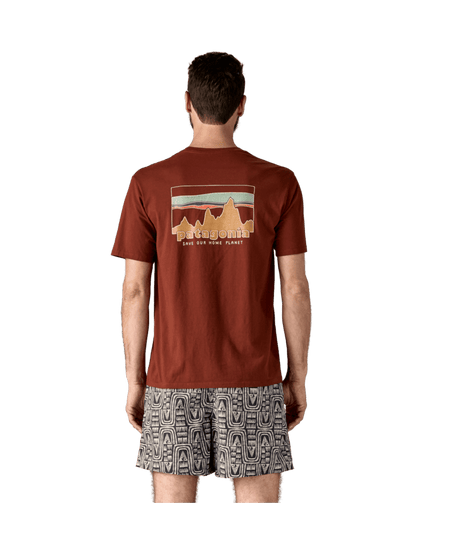 37534|DVL|3