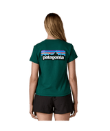 37567|CASG|3