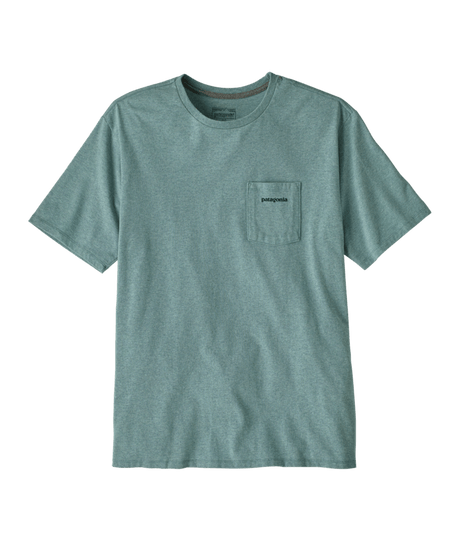 37655|BLSG|2