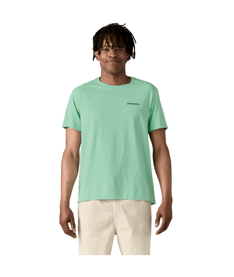 37665|RNSG|2