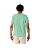 37665|RNSG|3