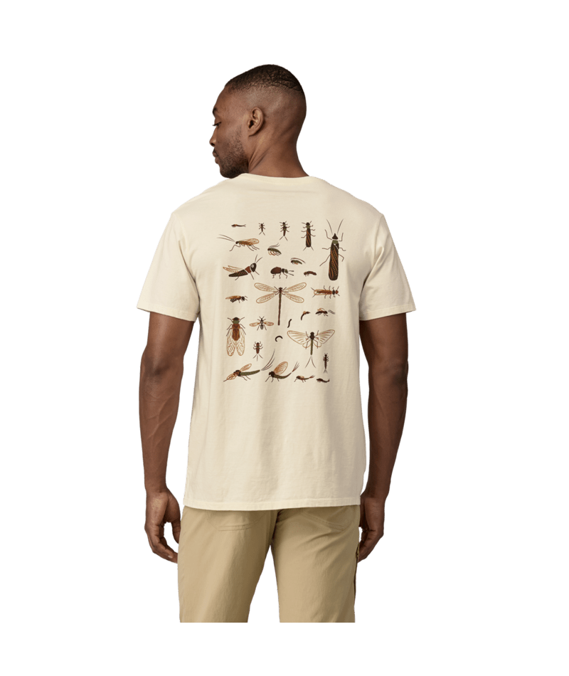 37790|UDNL|3