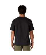 37837|BLBN|3
