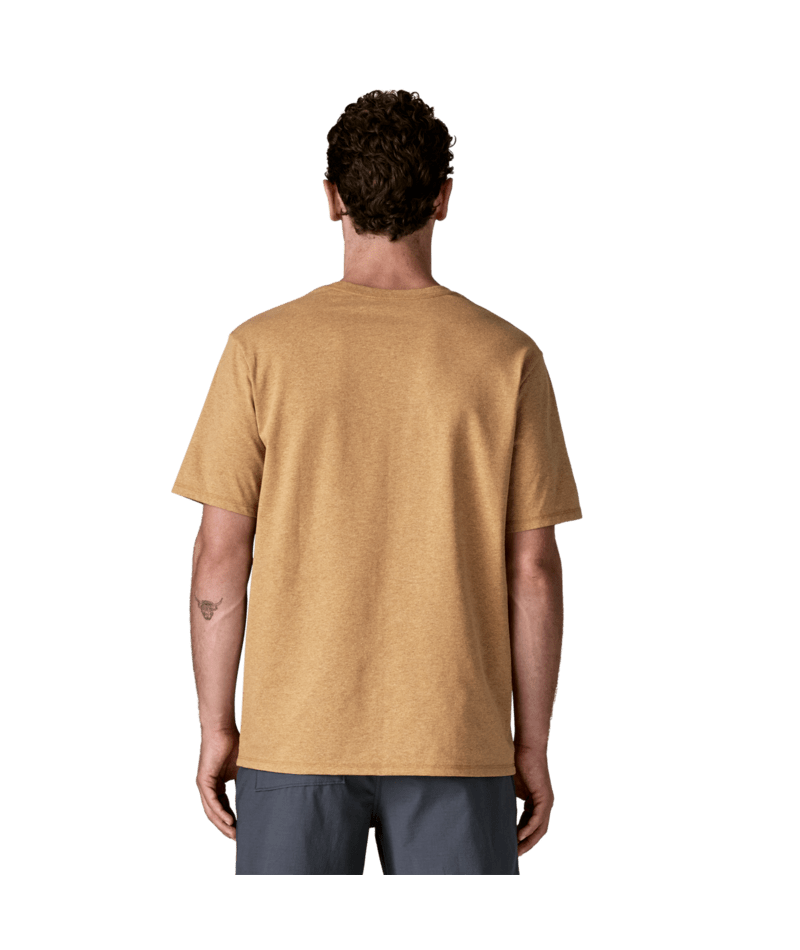 37837|TNGO|3