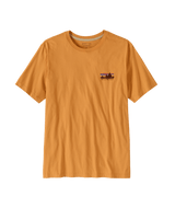 37841|DMGO|2