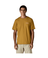 37845|BCBN|2