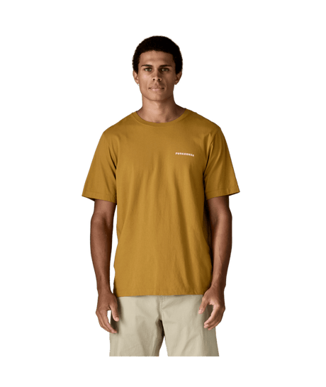 37845|BCBN|2
