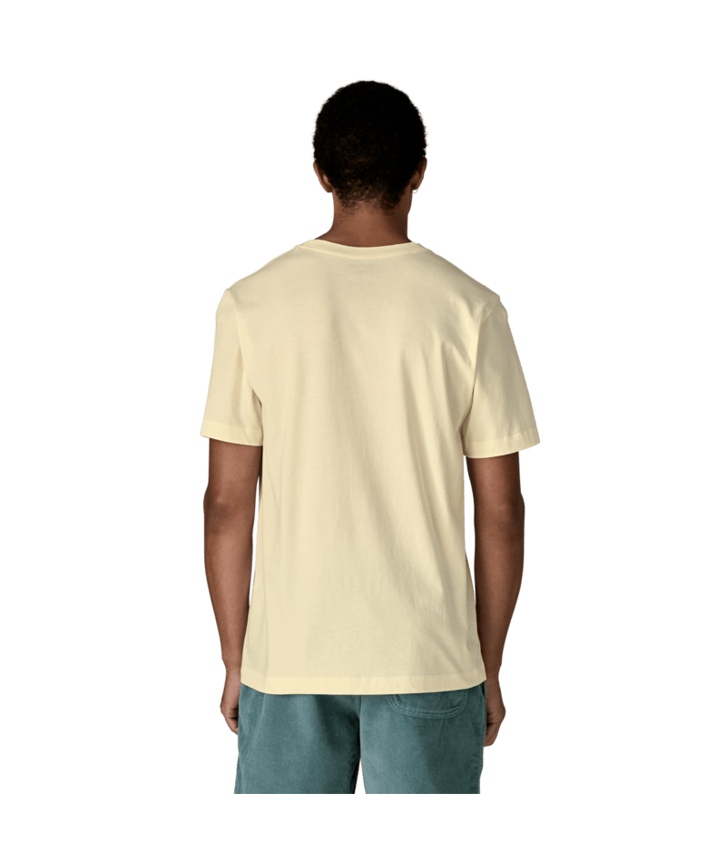 37877|UDNL|3
