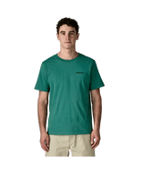 37882|GEMG|2
