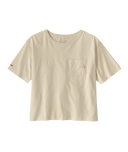 37901|UDNL