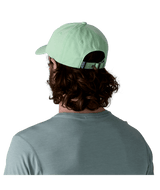 38296|RNSG|3
