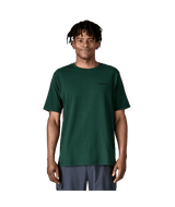 38504|CASG|2